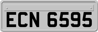 ECN6595