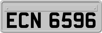 ECN6596