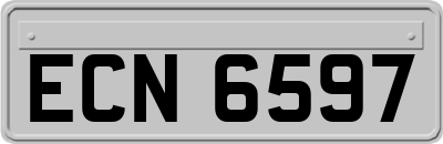 ECN6597