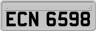ECN6598