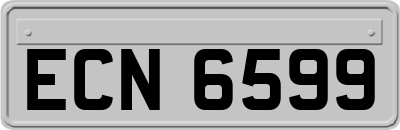 ECN6599