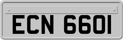 ECN6601