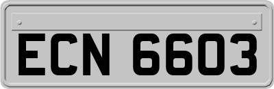 ECN6603