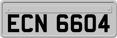 ECN6604