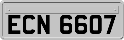 ECN6607