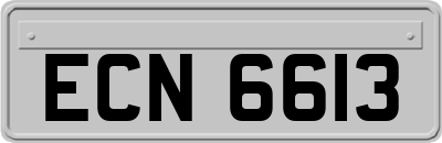 ECN6613