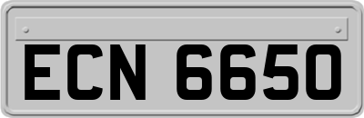 ECN6650