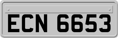 ECN6653