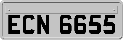 ECN6655