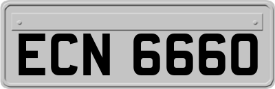 ECN6660
