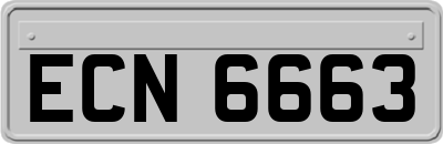 ECN6663
