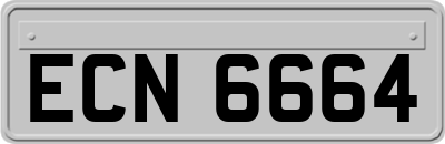 ECN6664