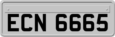 ECN6665