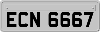 ECN6667