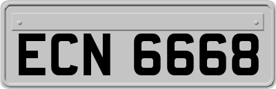 ECN6668