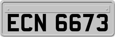 ECN6673