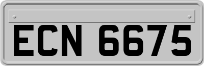 ECN6675