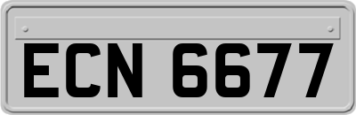 ECN6677