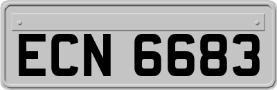 ECN6683