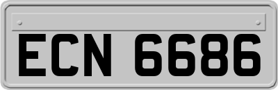 ECN6686