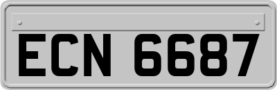 ECN6687