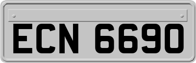 ECN6690