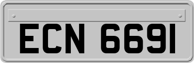 ECN6691