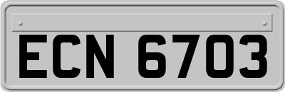 ECN6703
