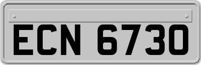 ECN6730