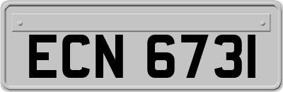 ECN6731
