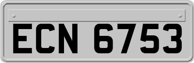 ECN6753