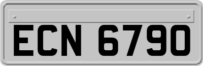 ECN6790