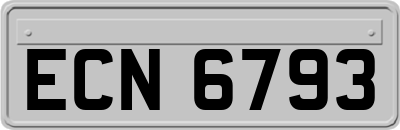 ECN6793
