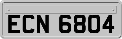 ECN6804