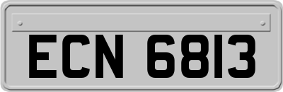 ECN6813