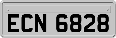 ECN6828