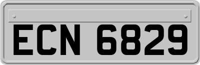 ECN6829