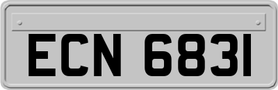 ECN6831