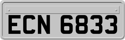 ECN6833