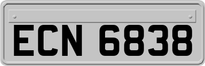 ECN6838