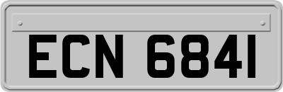 ECN6841