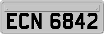 ECN6842