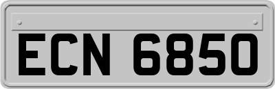 ECN6850