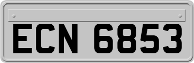 ECN6853