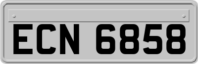 ECN6858