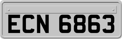 ECN6863