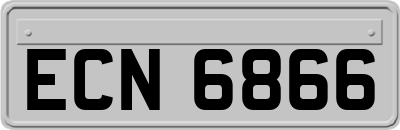 ECN6866