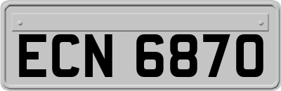 ECN6870
