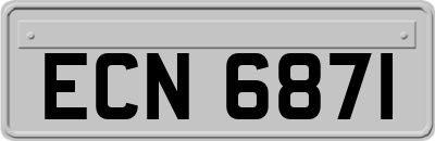 ECN6871