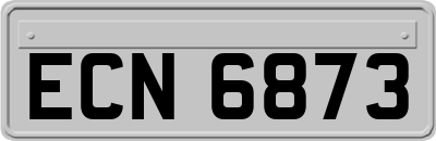 ECN6873